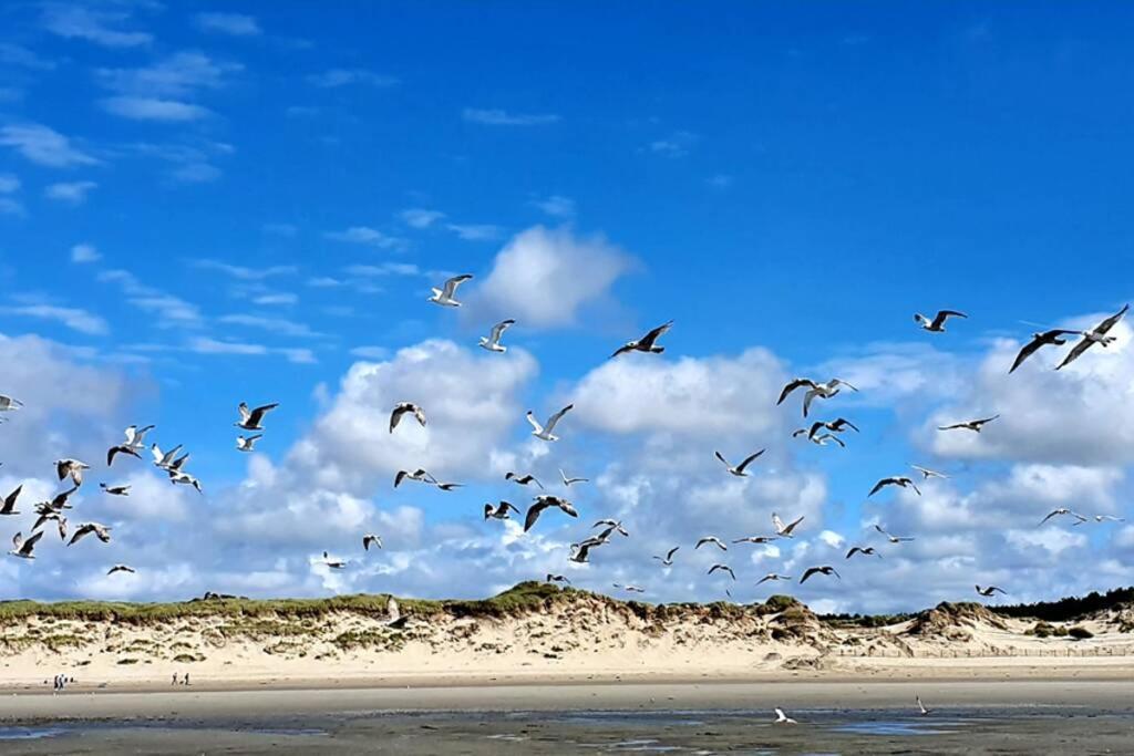 La Cabane Des Dunes A Fort-Mahon Plage Exteriör bild